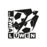 VV Zwaluwen
