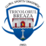 Tricolorul Breaza
