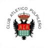 Pulpileno