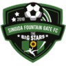 Singida Black Stars