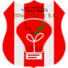 Ethio Electric