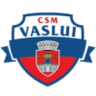 CSM Vaslui