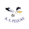 Pelican Lambarene