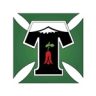 Deportes Temuco