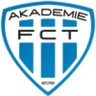 Taborsko akademie