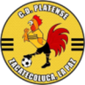 Platense Municipal