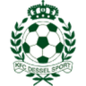 Dessel